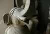 Artikelbild 4 des Artikels “Gajasimha, Reproduktion “