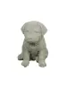 Artikelbild 4 des Artikels “Kleiner Rottweiler, Tierfigur, 16 cm “