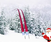 Artikelbild 4 des Artikels “Balifahne „Nikolaus Edition“ - 6 Meter “