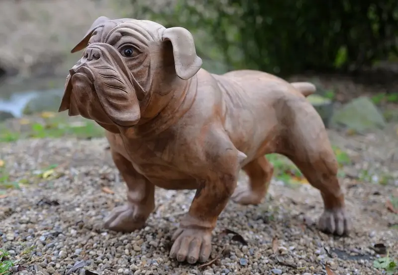 Artikelbild 4 des Artikels “Französische Bulldogge, 75 cm “