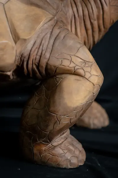 Artikelbild 4 des Artikels “Schildkröte, 100 cm “