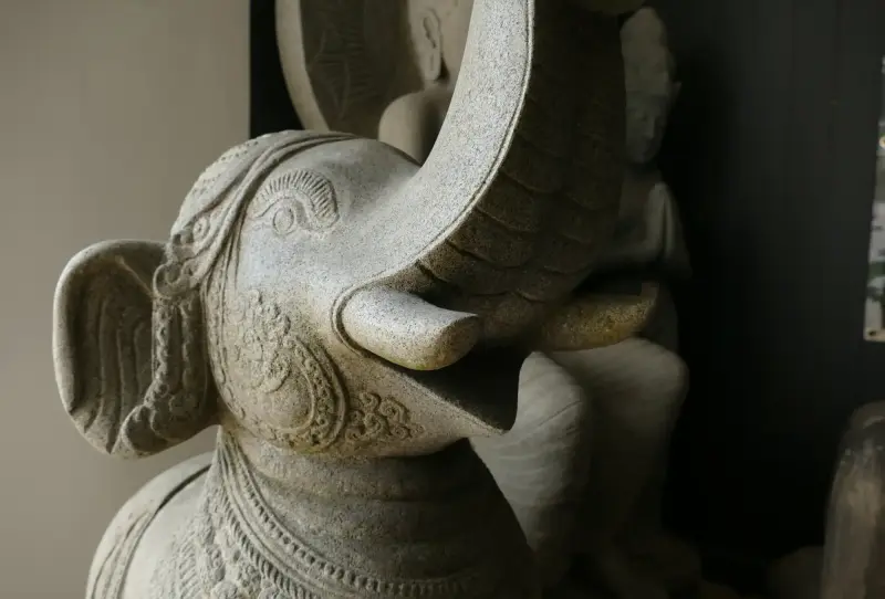 Artikelbild 4 des Artikels “Gajasimha, Reproduktion “