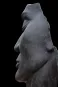 morepic-4
