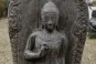 morepic-4