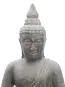 morepic-4