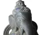 morepic-4