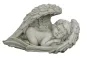 morepic-4