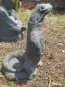 morepic-4