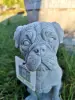 Artikelbild 5 des Artikels “Hund, Boxer, 27 cm “