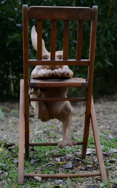 Artikelbild 5 des Artikels “Unikat: kletternder Hase – Kunstobjekt aus Suarholz, 55 cm “