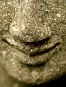 morepic-5