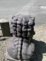 morepic-5