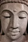 morepic-5