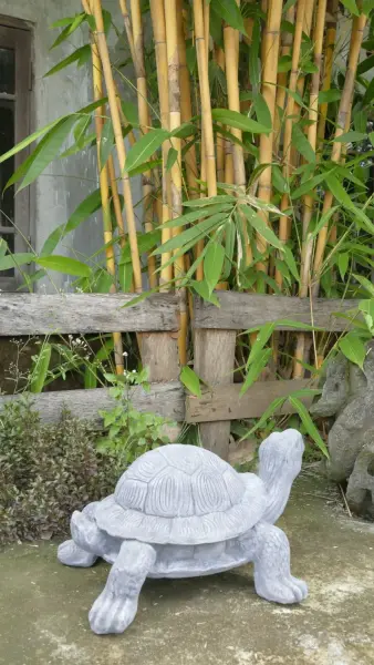 Artikelbild 6 des Artikels “Kleine Schildkröte, 48,5 cm Länge | Steinguss “