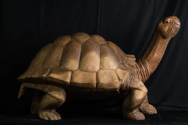 Artikelbild 6 des Artikels “Schildkröte, 100 cm “