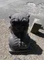 morepic-6
