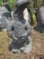 morepic-6