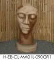 morepic-7