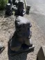 morepic-7